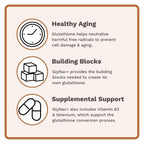 Utzy Naturals High Dose GlyNAC+ Supplement - 90 Capsules - image 4