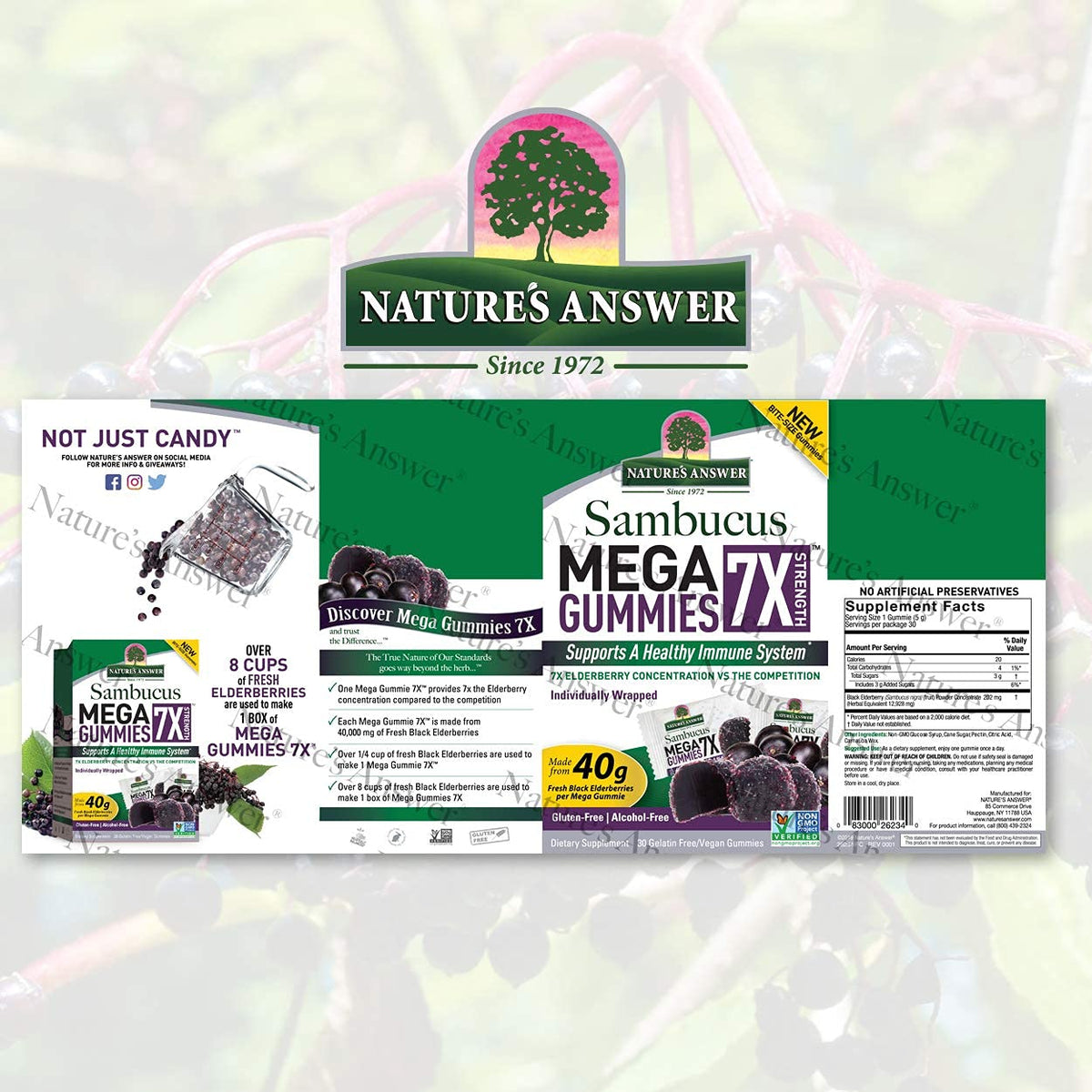 Nature's Answer Sambucus Mega Gummies Elderberry - 30 Gummies - image 2