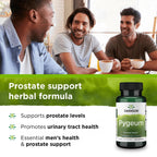 Swanson Hyssop Digestive Support 450 mg - 100 Capsules - image 3