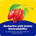 Enzymedica Berberine Phytosome High Absorption - 60 Capsules - image 6