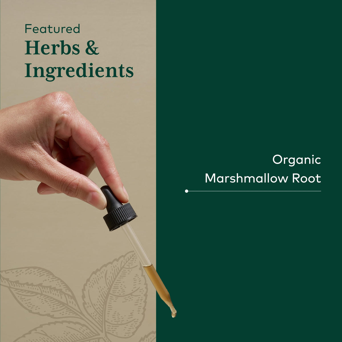 Gaia Herbs PRO Organic Marshmallow Root Liquid - 2 fl oz - image 4