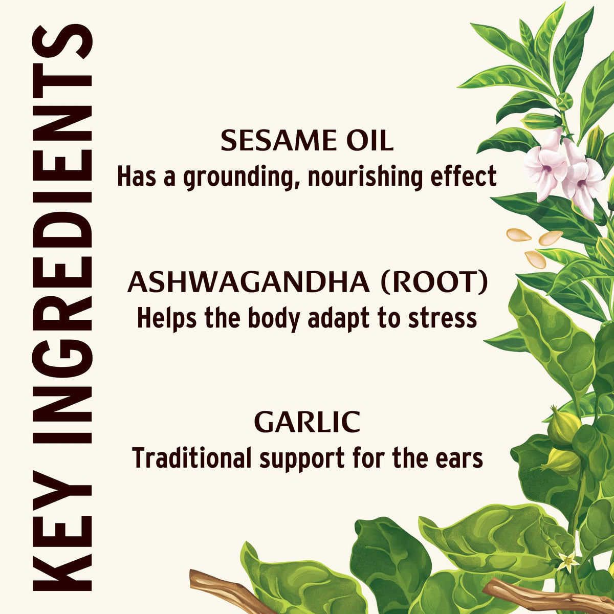 Banyan Botanicals Ear Oil with Ashwagandha and Garlic - 1 oz - image 7