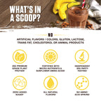 Ambrosia Planta - Premium Plant-Based Protein