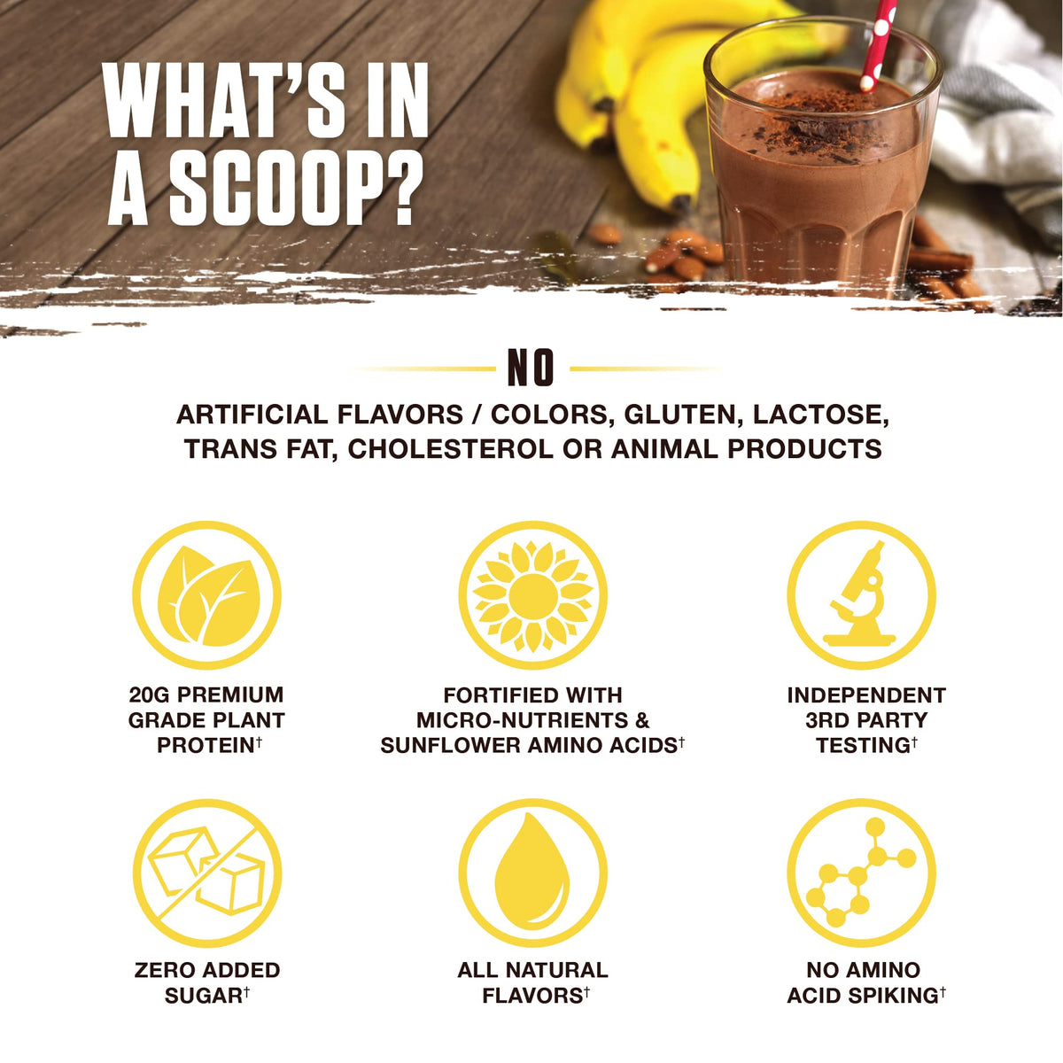 Ambrosia Planta - Premium Plant-Based Protein