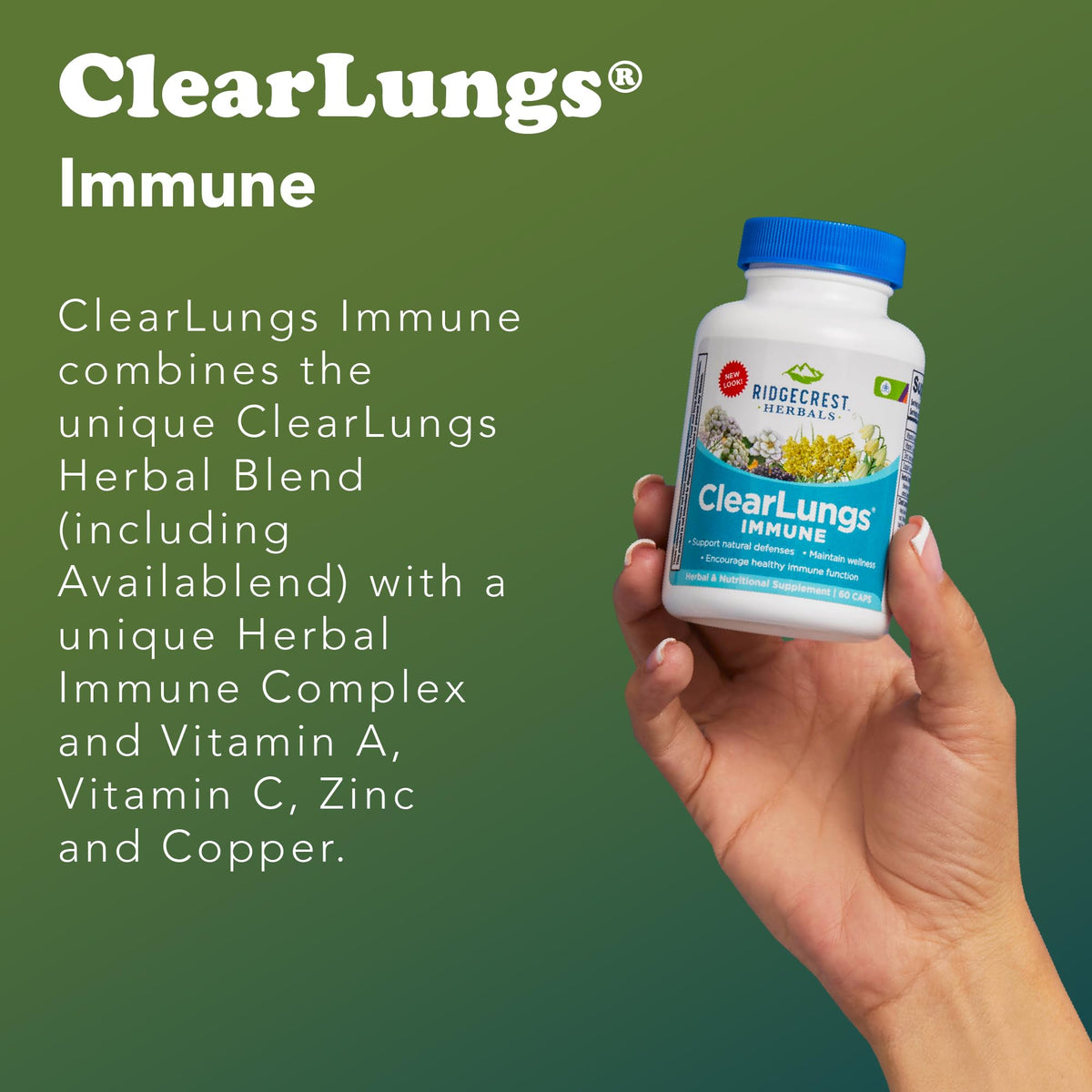 RidgeCrest Herbals ClearLungs Immune Mullein & Elderberry - 60 Capsules - image 5