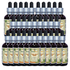 Herbal Terra LLC Vana Holy Basil (Ocimum sp.) Tincture