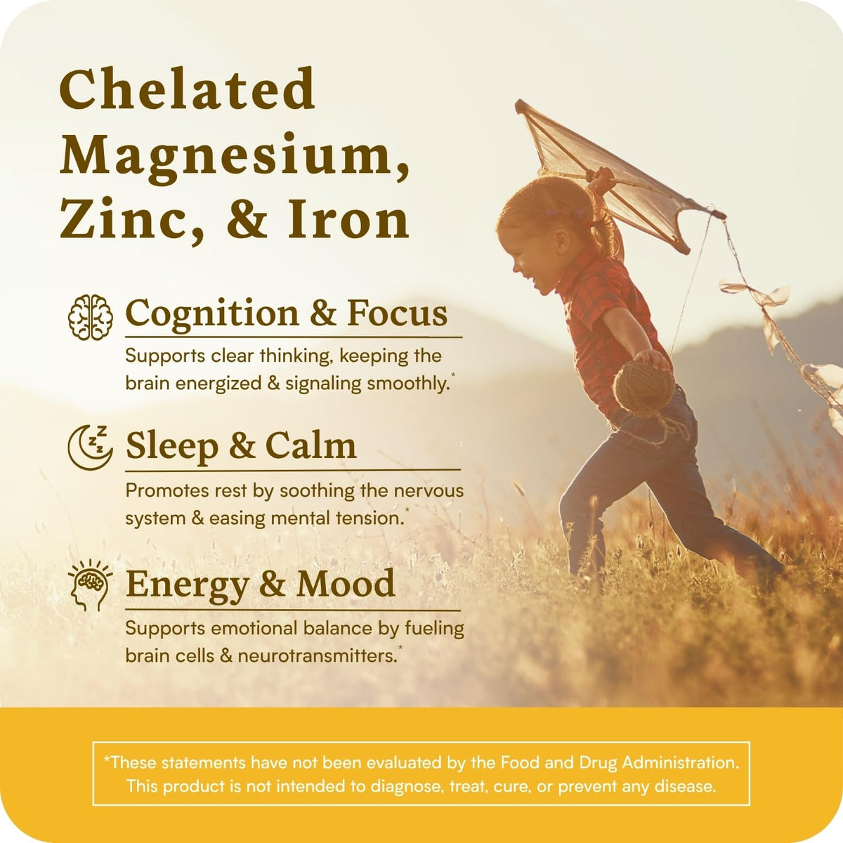 Accentrate Minerals Magnesium Zinc Iron Capsules for Kids - 60 Capsules - image 2