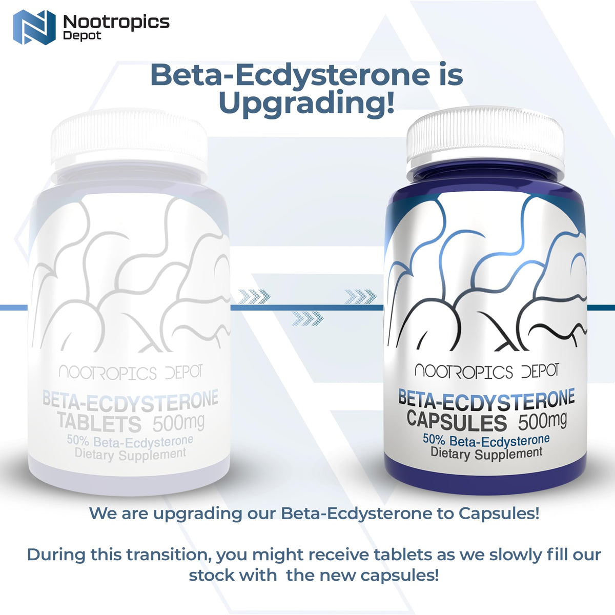 Nootropics Depot Beta Ecdysterone/20-Hydroxyecdysone 50% Tablets