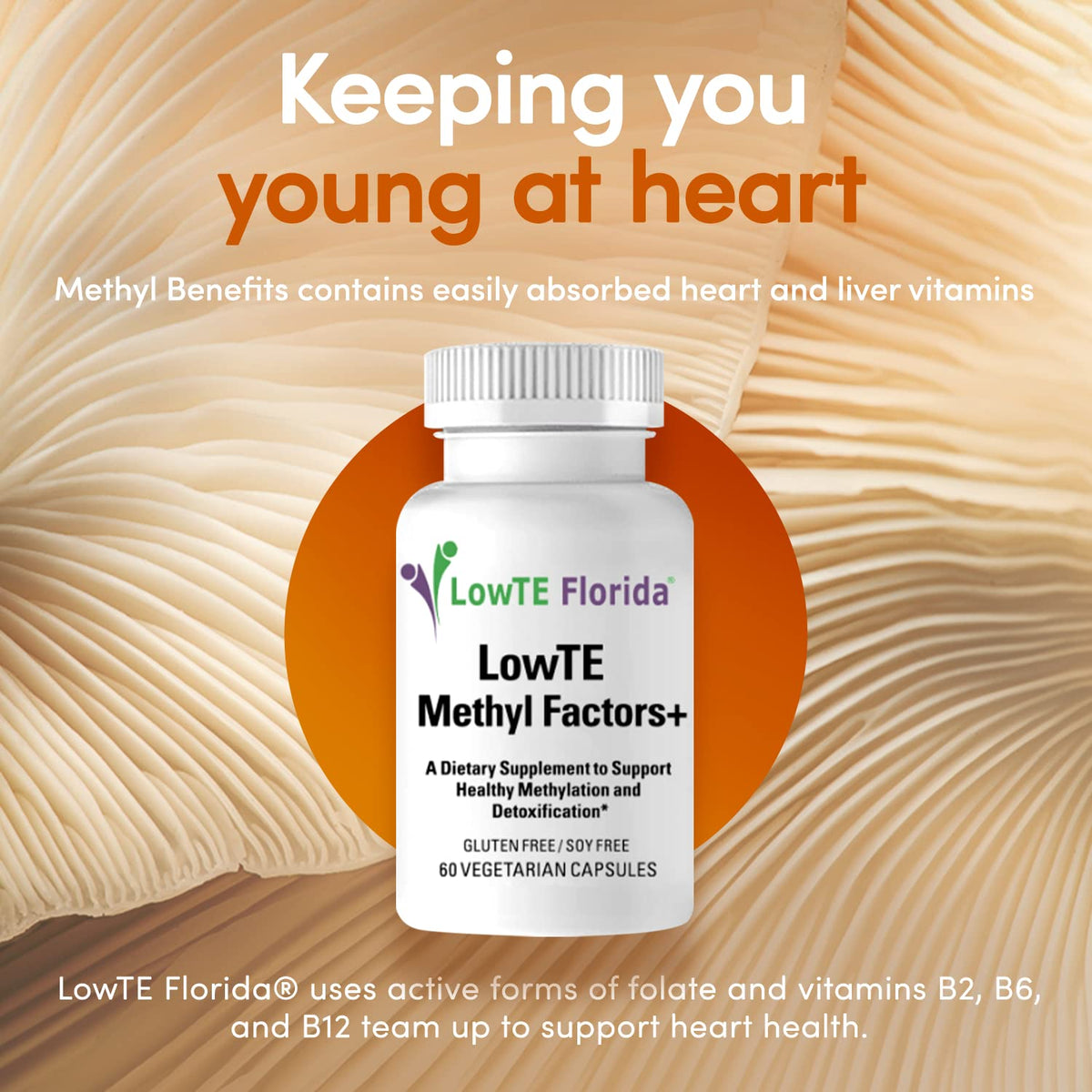 LowTE Florida Methyl Factors+ B Vitamins for Heart & Brain - 60 Capsules - image 5