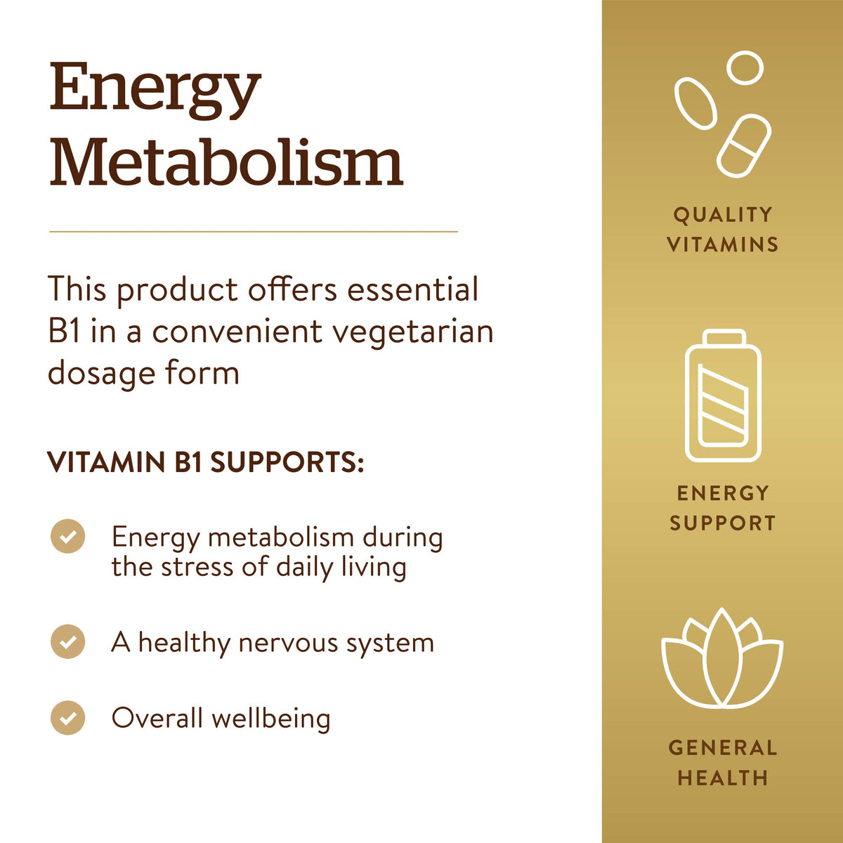 Solgar Vitamin B1 Thiamin 500 mg - 100 Tablets - image 4