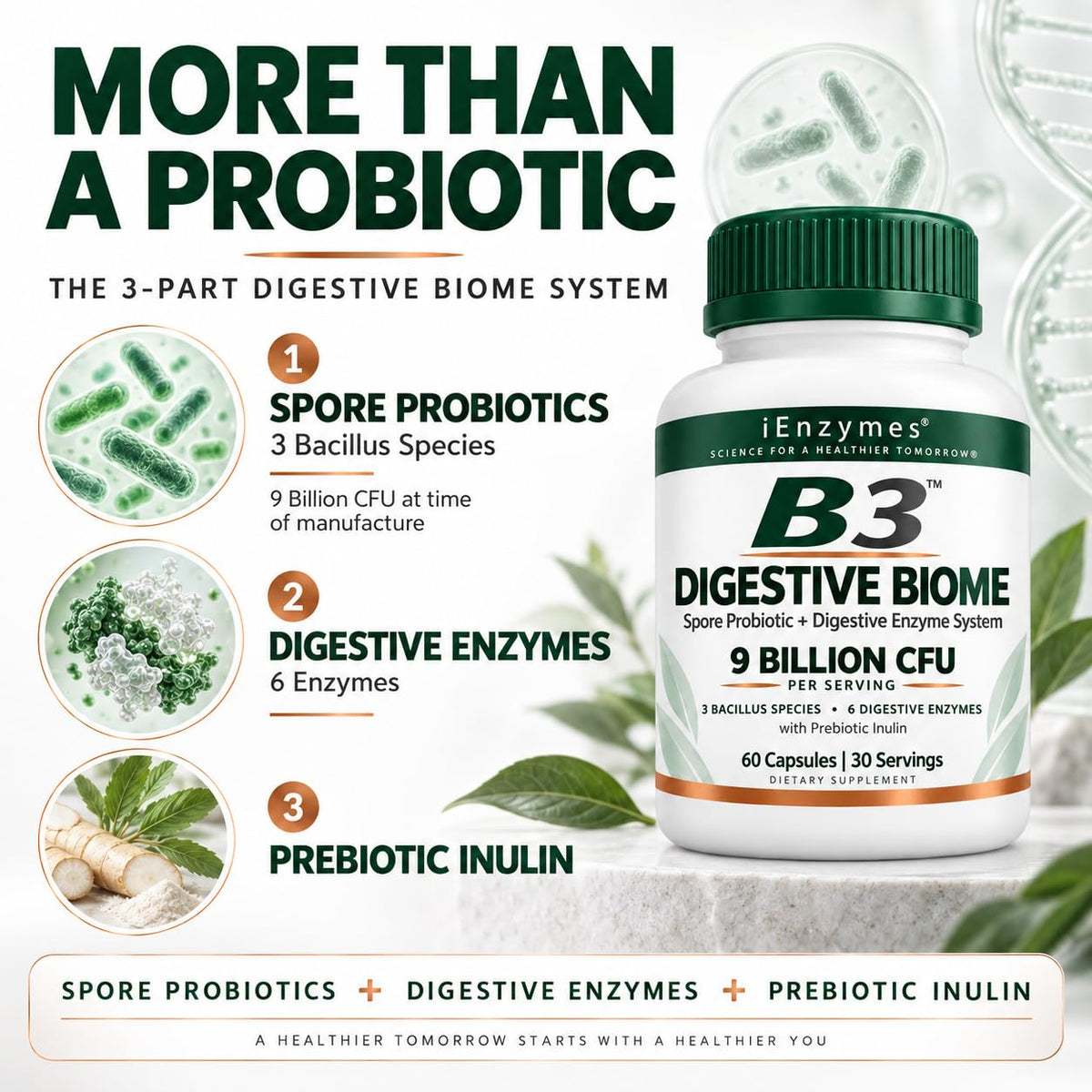 iEnzymes Bacillus B3 Spore-Based Probiotic + Enzymes - 300 Capsules - image 2