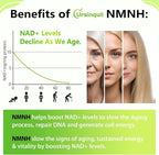 Ursinquil Sublingual NMNH 500mg for Anti-Aging