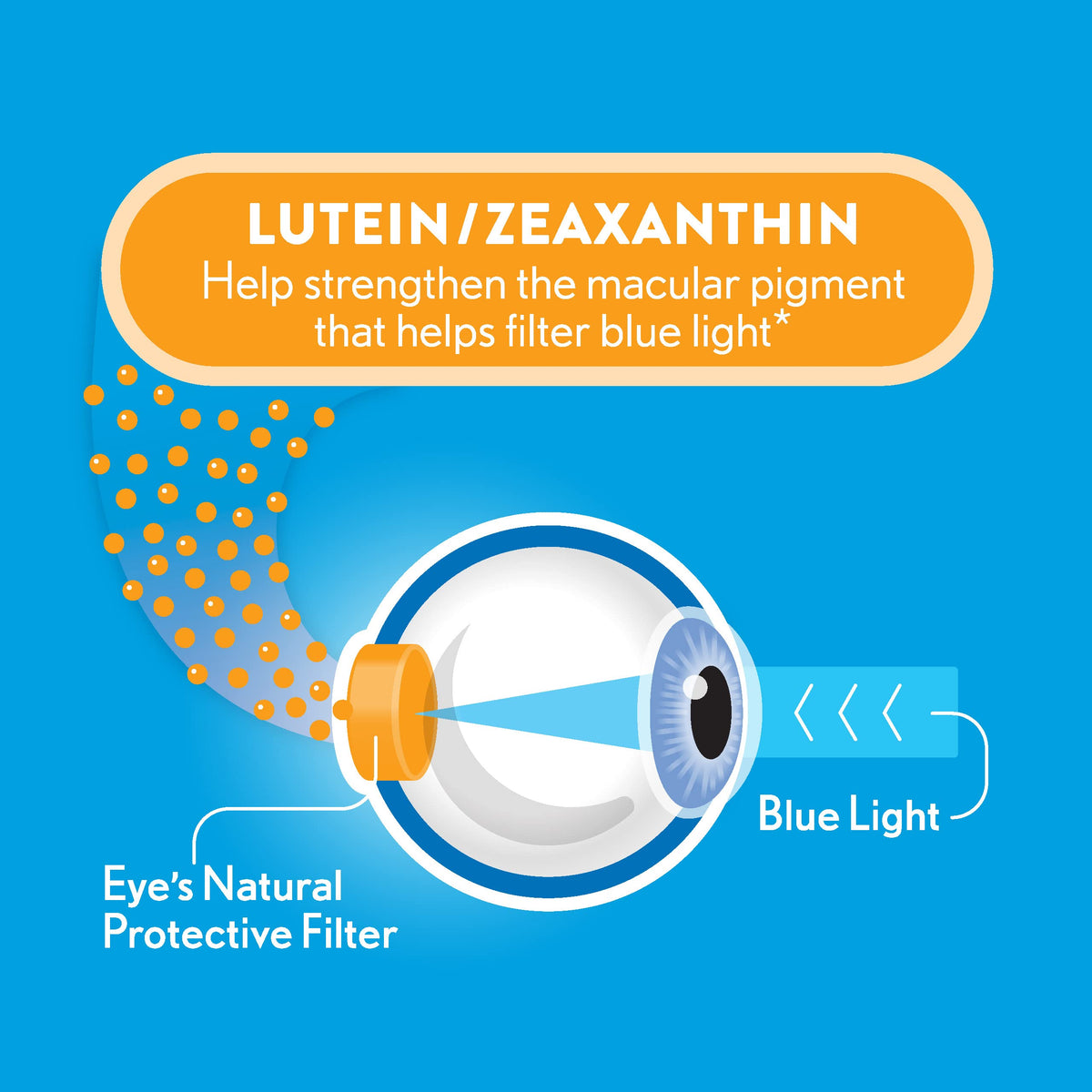 Ocuvite Blue Light Eye Vitamins Lutein & Zeaxanthin - 30 Softgels - image 4