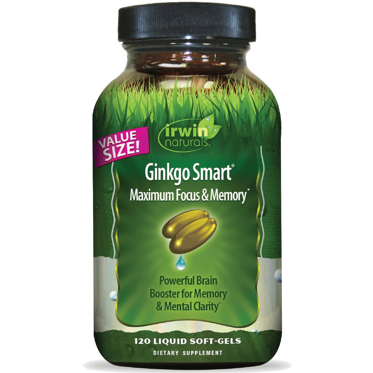Irwin Naturals Ginkgo Smart - Brain Supplements for Memory and Focus