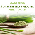 VEDAPURE Organic Wheat Grass Powder 100% Whole-Leaf - 3.5 oz - image 5