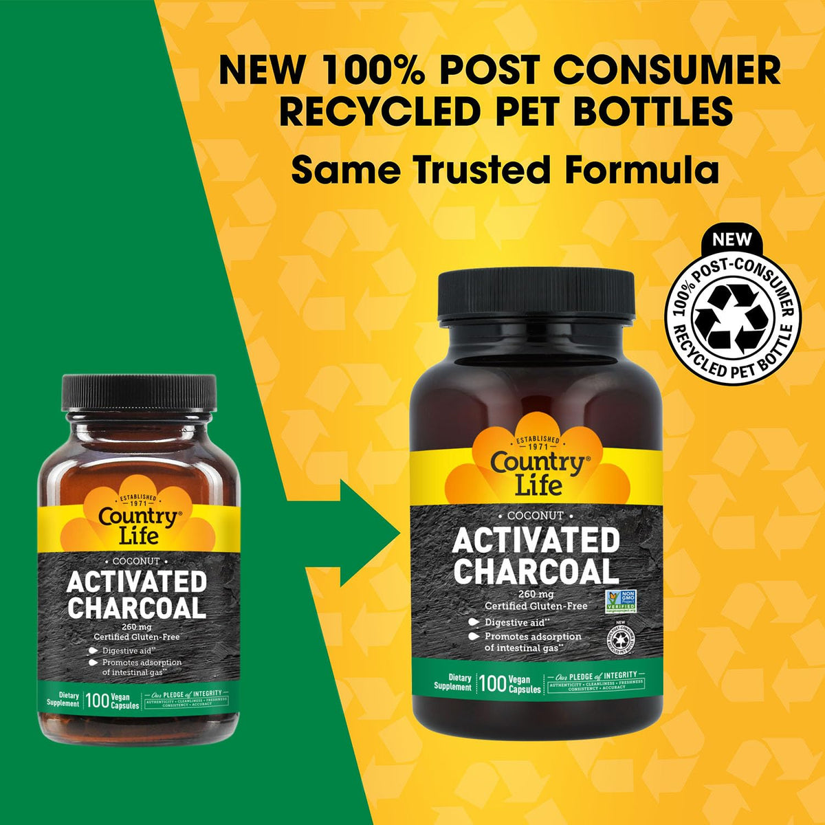 Country Life Coconut Activated Charcoal 260 mg - 100 Vegan Capsules - image 2