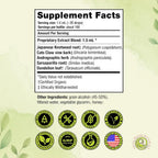 Green Dragon Botanicals LB CORE Protocol Tincture - Japanese Knotweed