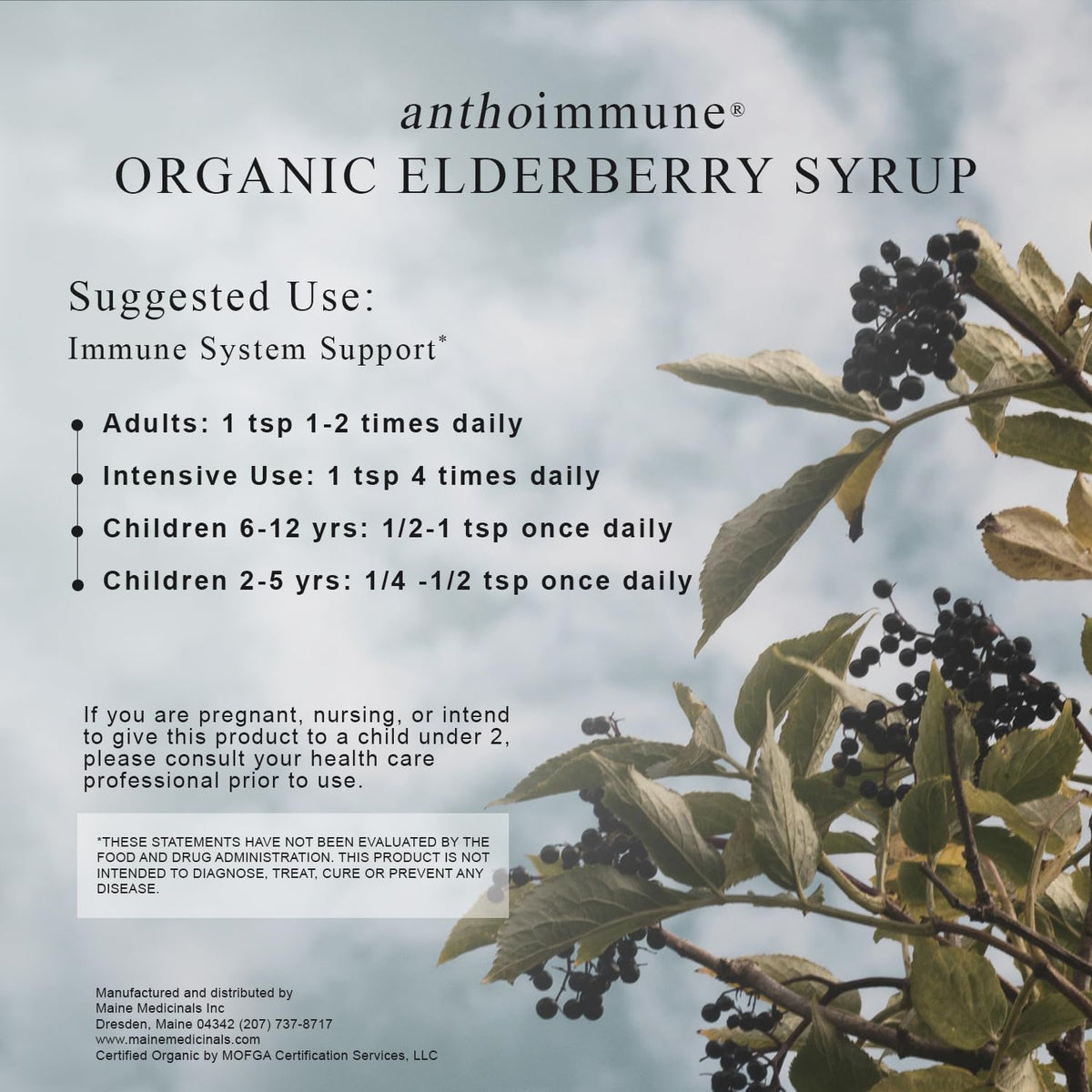 Maine Medicinals Organic Elderberry Syrup Immune Support - 4 oz - image 5