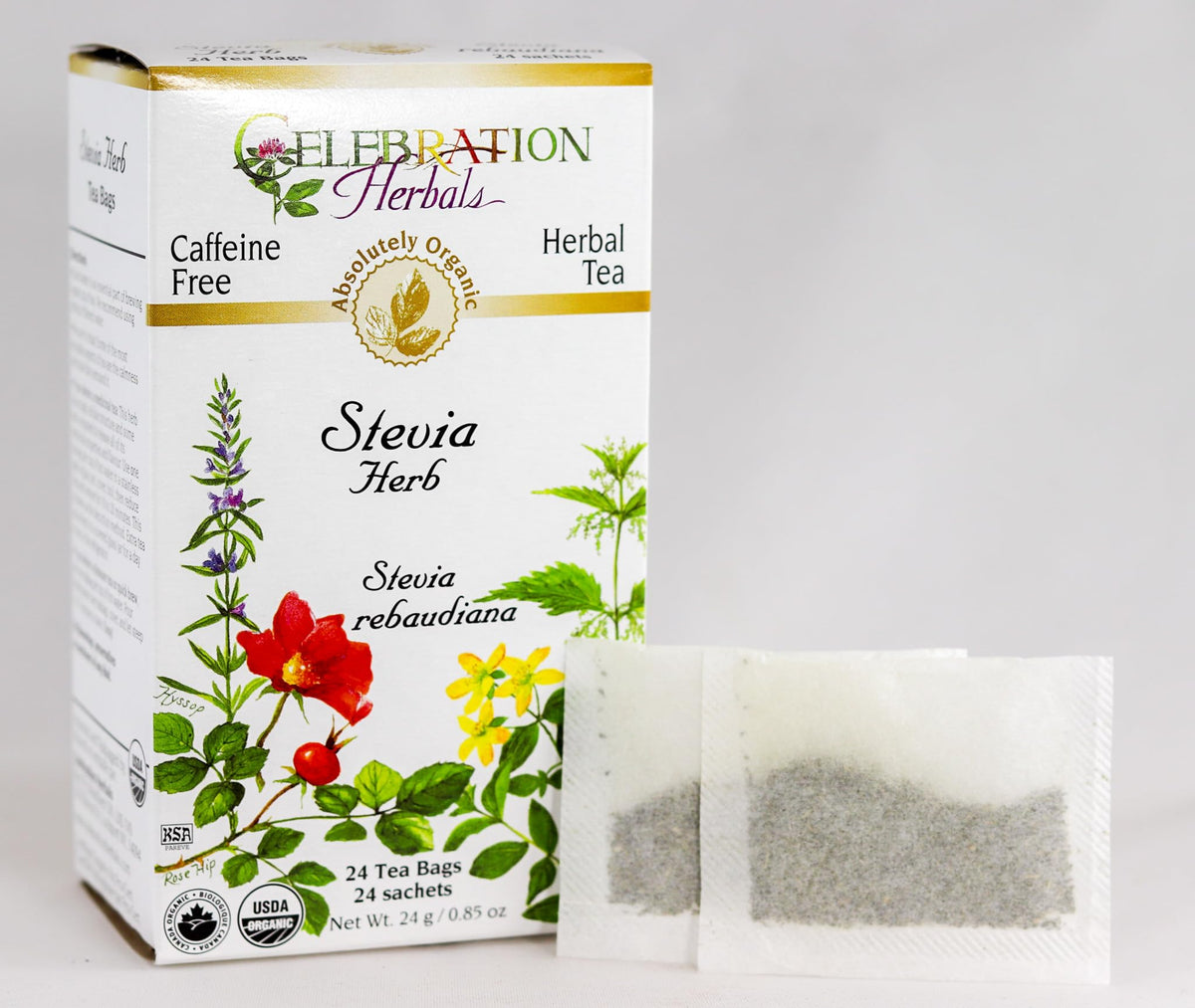 Celebration Herbals Stevia Herb Organic - 24 Bags - image 2