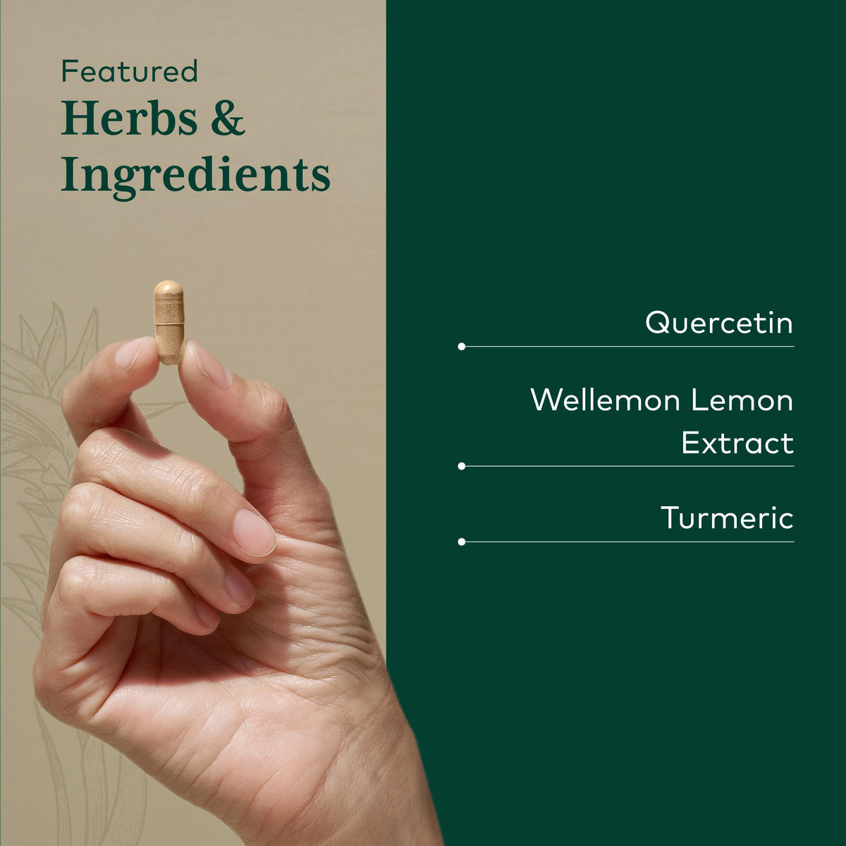Gaia Herbs PRO Quercetin Synergy 500 - 100 Tablets - image 4