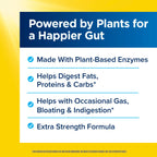 Renew Life DigestMore Digestive Enzymes - 90 Vegetarian Capsules - image 6