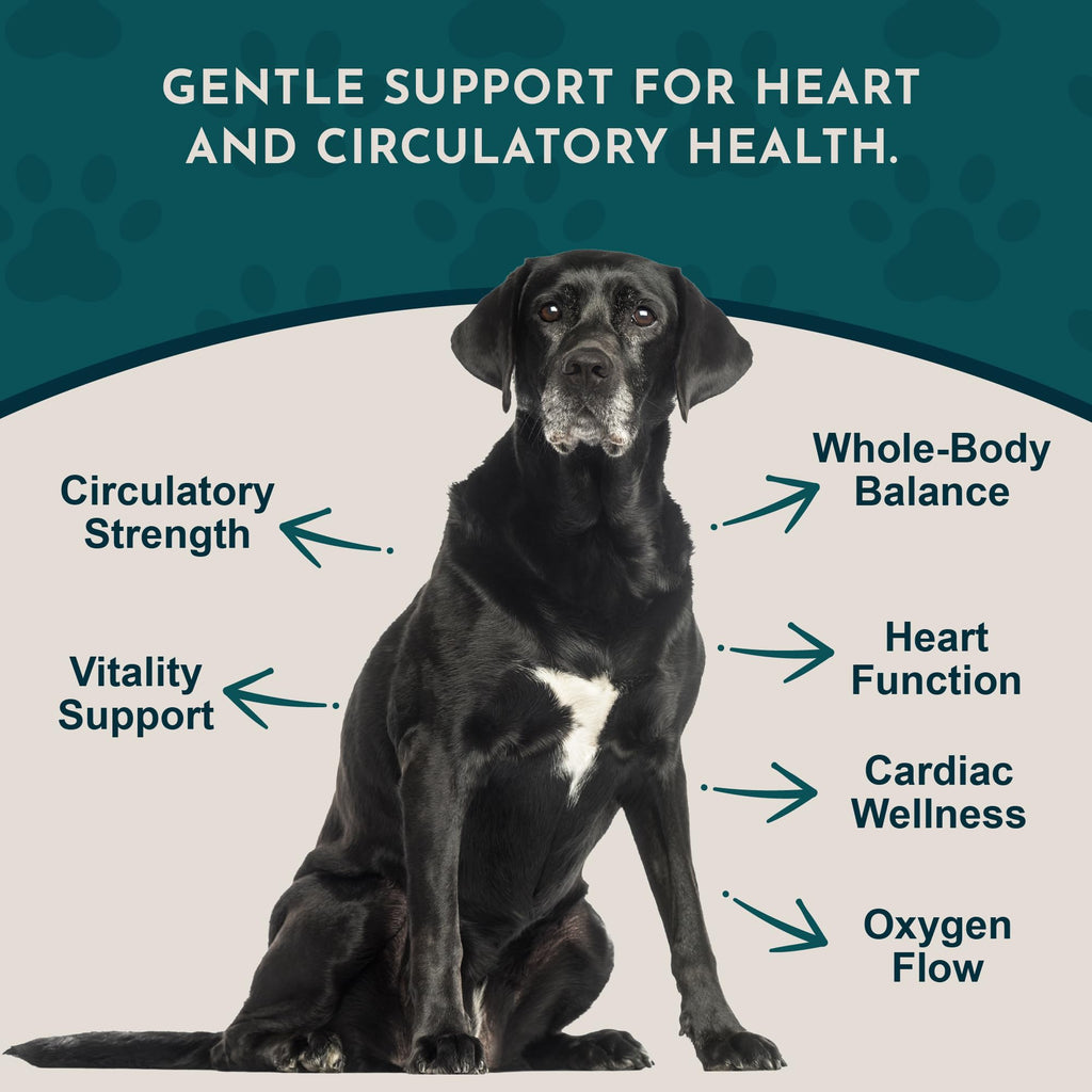 Animal Essentials Hawthorn Berry Supplement for Dogs & Cats - 1 fl Oz - image 3