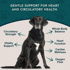 Animal Essentials Hawthorn Berry Supplement for Dogs & Cats - 1 fl Oz - image 3