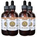 Hawaii Pharm Pumpkin Seed Liquid Extract - 4 fl oz, 4-Pack