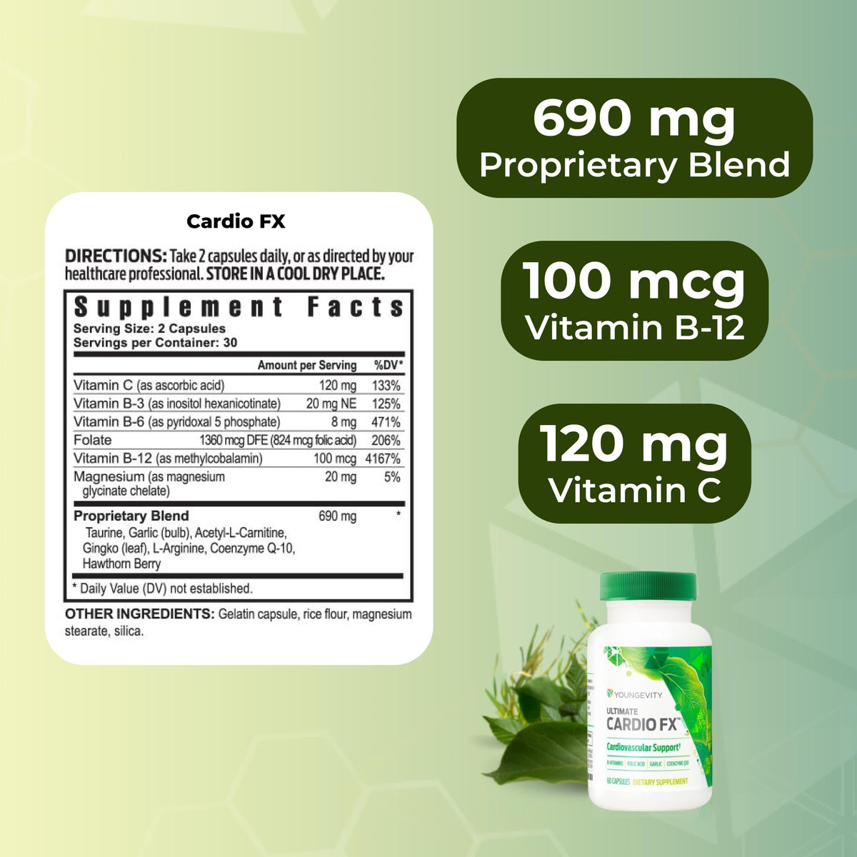Youngevity Cardio FX Cardiovascular Support Supplement with CoQ10 - 60 Capsules - image 3