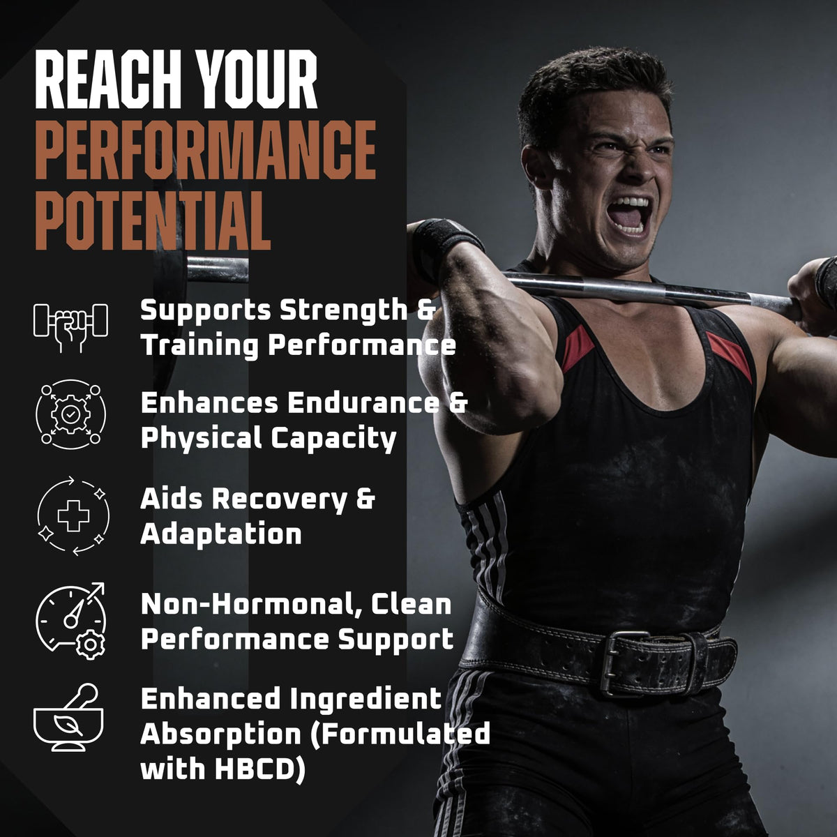 Earth Elixir Turkesterone & Ecdysterone Supplement - 180 Capsules - image 4