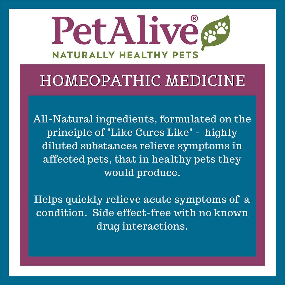 PetAlive Muscle and Joint Support-M - Natural Homeopathic Formula for - image 5