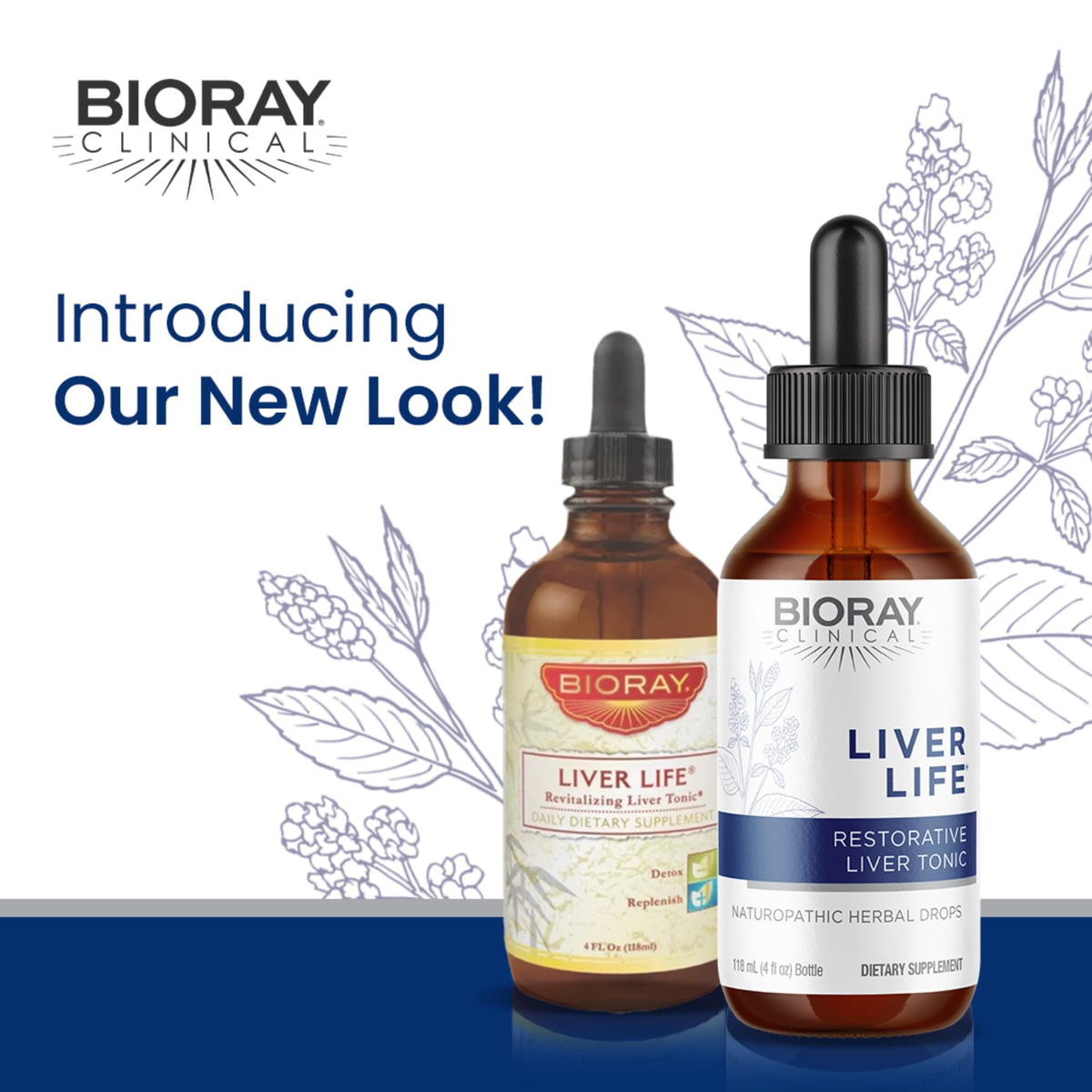 BIORAY Clinical Liver Life - Strengthens Liver Structure & Function