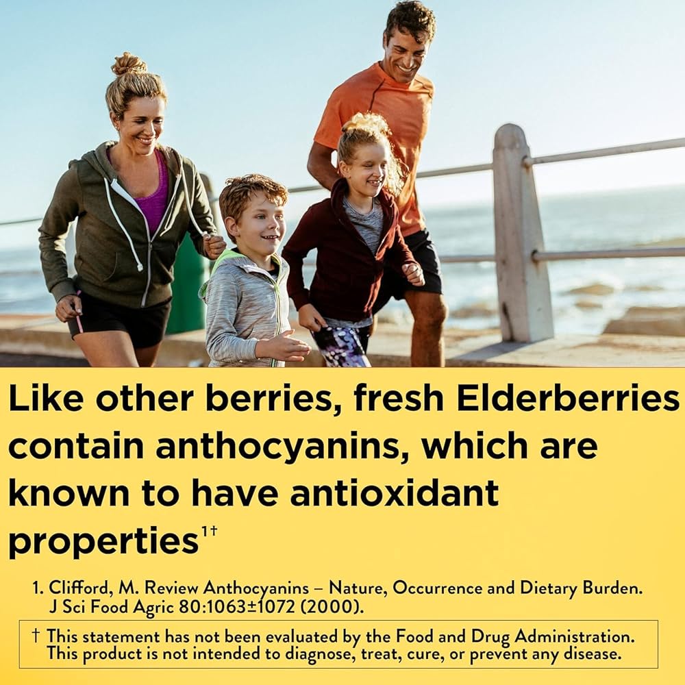 Nature Made Elderberry 400 mg Extract with Vitamin C and Zinc - 120 Capsules - image 3