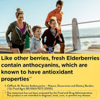 Nature Made Elderberry 400 mg Extract with Vitamin C and Zinc - 120 Capsules - image 3