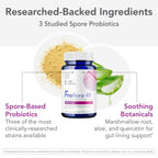 Bio-Botanical Research Biocidin Proflora 4R Spore Probiotic - 30 Capsules - image 3