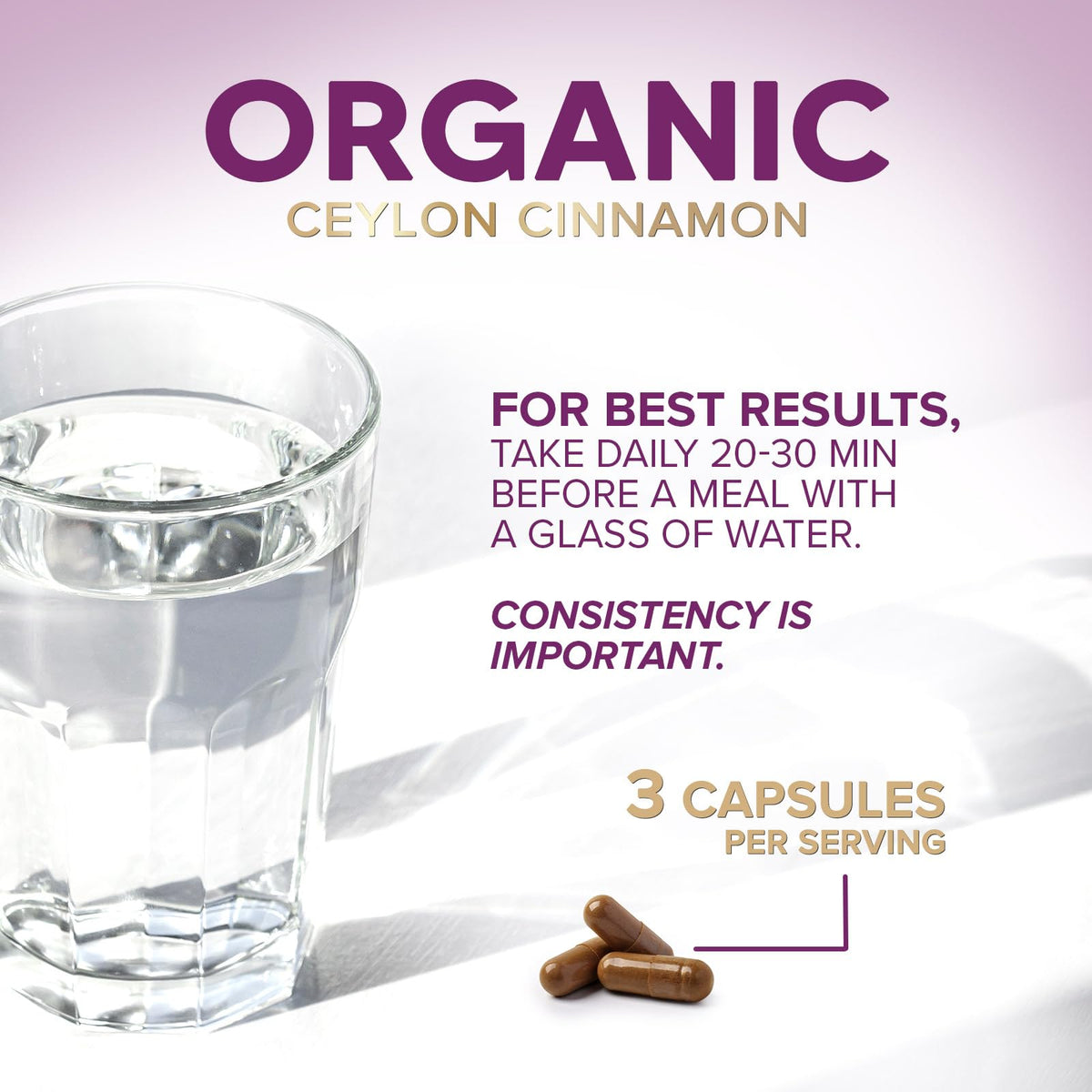 Nature's Choice Ceylon Cinnamon Capsules - Certified Organic Ceylon