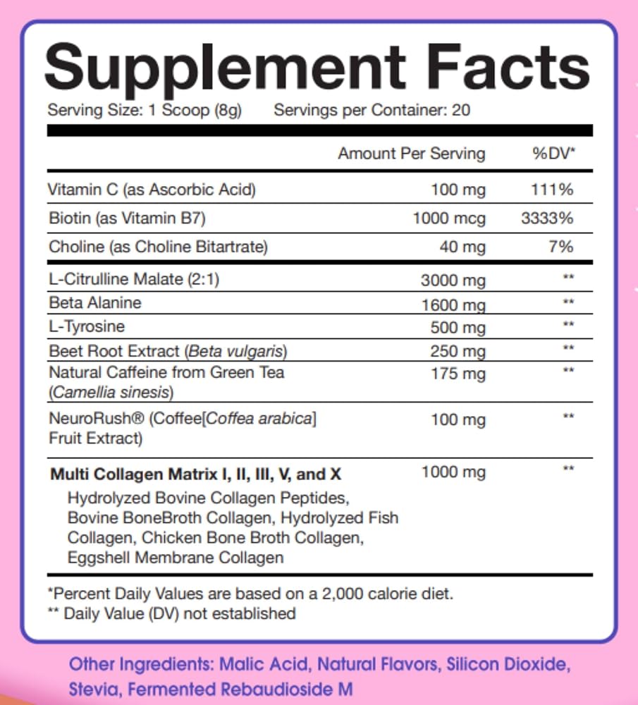 Obvi Pre Workout + Collagen