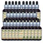 Herbal Terra LLC Butternut (Juglans Cinerea) Tincture