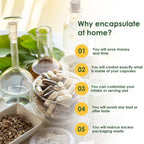 Capsuline Size 0 Empty Vegan Capsules Sage Green - 1000 Count - image 4