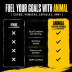 Animal