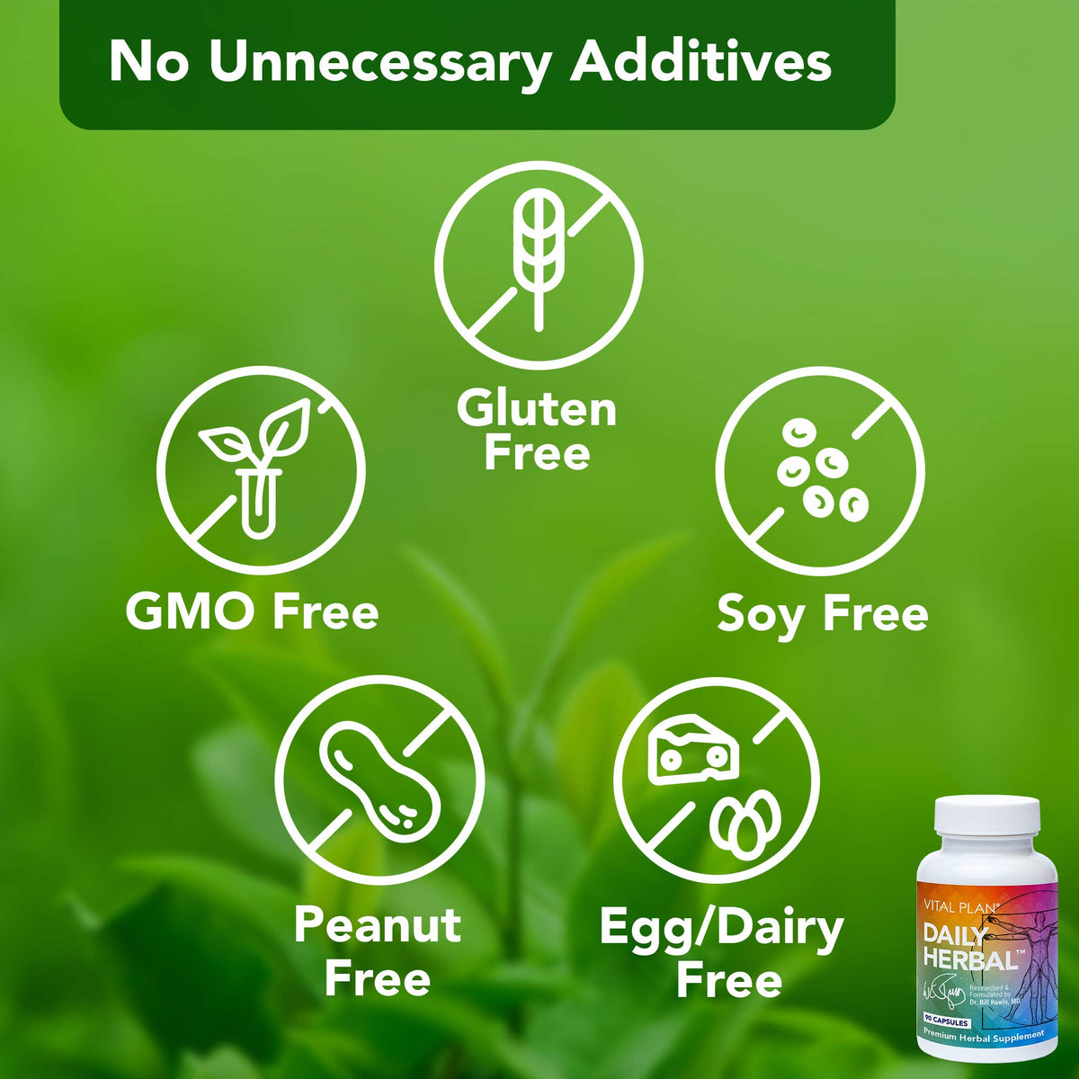 Vital Plan Daily Herbal Supplement for Immune Support - 90 Capsules - image 3