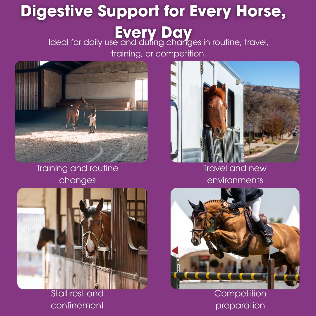 Equilite PrePro Equine Prebiotic, Probiotic & Enzyme Blend - 2 lb - image 3