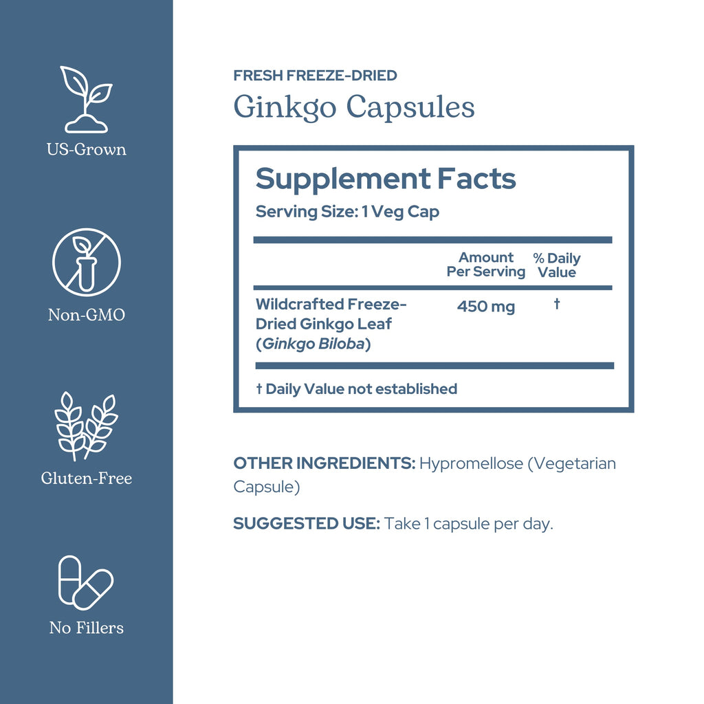 Eclectic Institute Ginkgo Biloba Cognitive Support - 120 Capsules - image 2