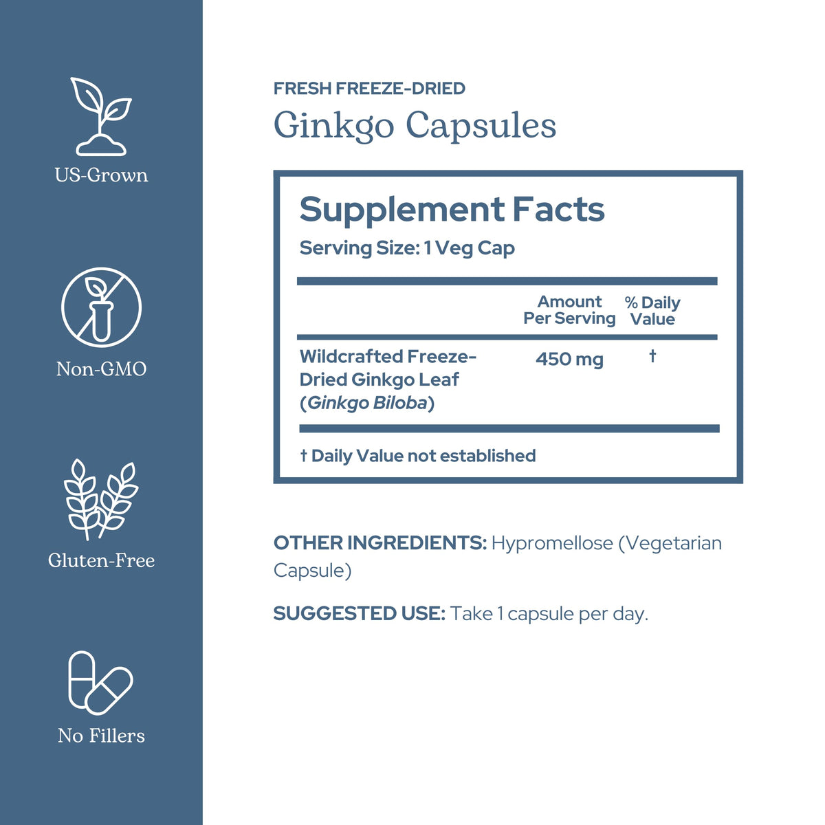 Eclectic Institute Ginkgo Biloba Cognitive Support - 120 Capsules - image 2