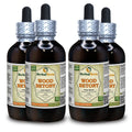 Herbal Terra LLC Wood Betony (Stachys Officinalis) Tincture