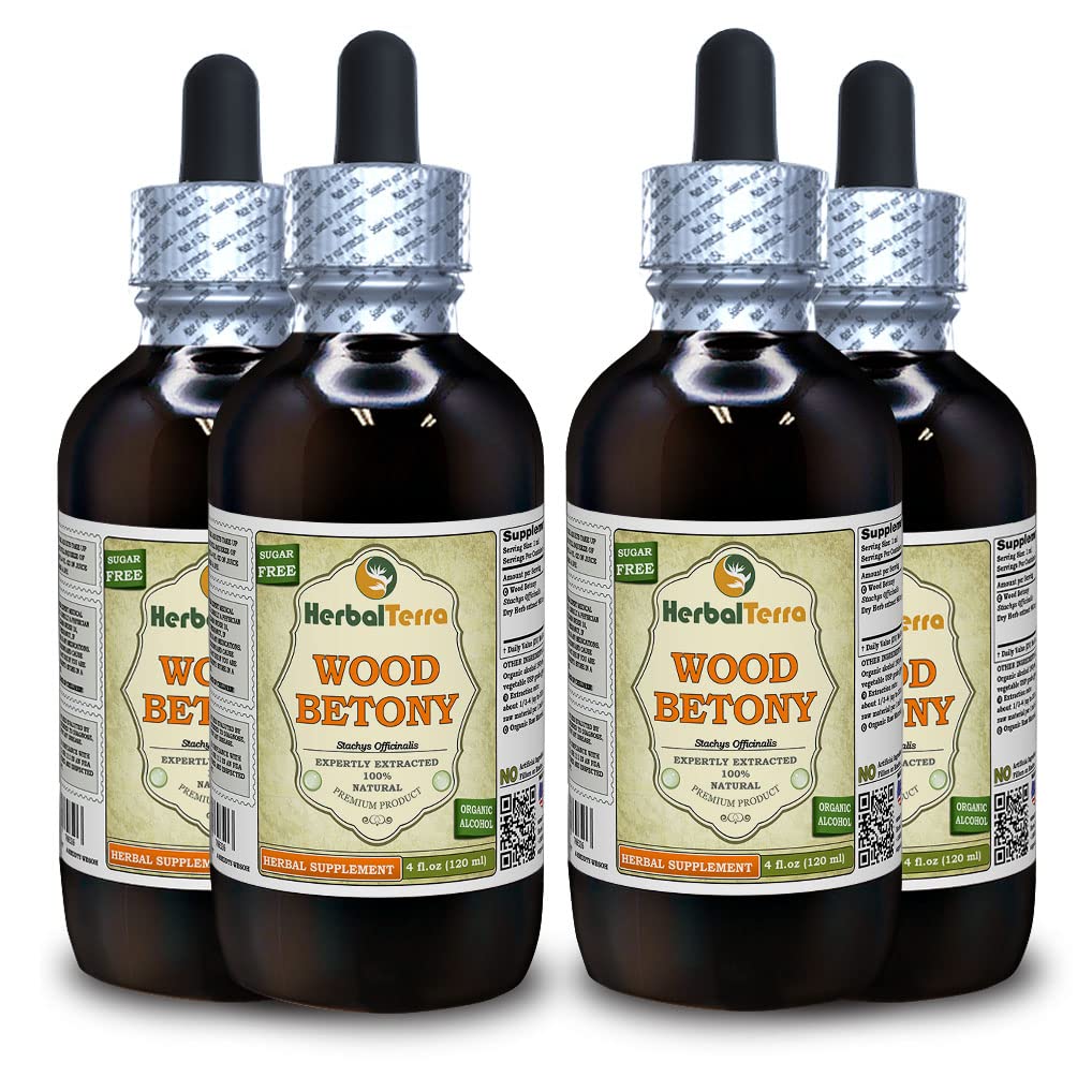 Herbal Terra LLC Wood Betony (Stachys Officinalis) Tincture
