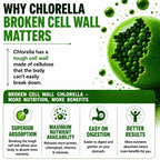 HCL Herbal Code Labs Chlorella 3000 mg - 180 Capsules - image 4