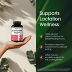 NatureBell Sunflower Lecithin for Lactation Support - 240 Softgels - image 4