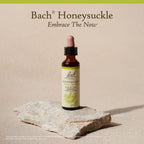Bach Flower Remedies Honeysuckle Essence - 20mL Dropper - image 5