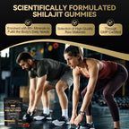 Grevol Pure Himalayan Shilajit Gummies: Gold Grade Shilajit Riched